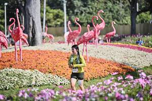 BIB: 
                            <button type="button" onclick="openModal(27793603)" class="btn btn-primary btn-sm float-right btn-popup" data-toggle="modal" data-target=".modal-high-quality">
                        <i class="fas fa-shopping-cart"></i> Add to Cart
                    </button>
                                            <button type="button" onclick="isThisMe(27793603, true)" class="btn btn-success btn-sm float-right btn-popup btn-isme hidden" data-toggle="tooltip" data-placement="bottom" title="นี่คือรูปของคุณใช่ไหม คลิกที่นี่เพื่อเอาเข้าอัลบั้ม">
                        <i class="fas fa-plus"></i> Add to album
                    </button>
                    <button type="button" onclick="isThisMe(27793603, false)" class="btn btn-warning btn-sm float-right btn-popup btn-isnotme hidden">
                        <i class="fas fa-ban"></i> Remove from album
                    </button>